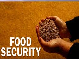 Punjab Food security