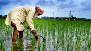 Agriculture of Punjab