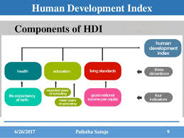 Punjab Human Development Index